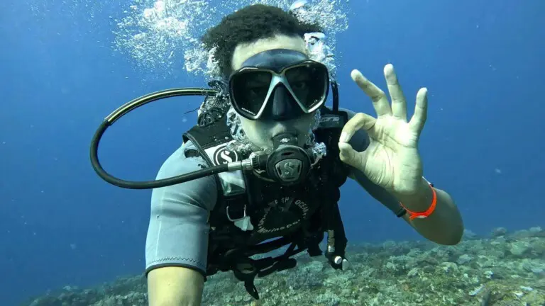 Facetune 03 04 2023 10 14 53 2