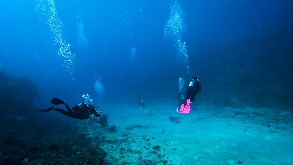 Fellow divers at Diani Beach