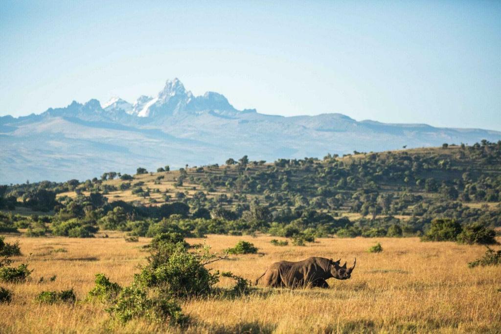 Beautiful view of Borana Conservancy, one of the most notable convservancies in Kenya.