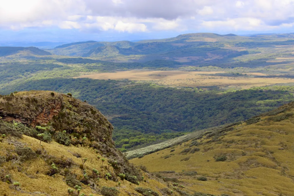 safari honeymoon in kenya