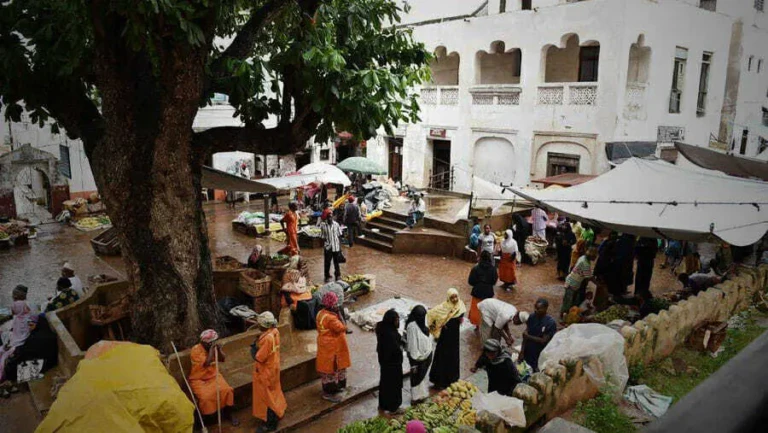 9619b79a51764af582a8a59a01f22f2f